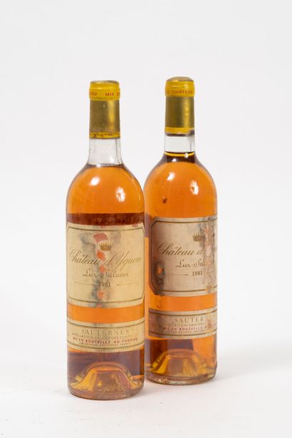 CHÂTEAU YQUEM LUR SALUCES
2 bottles, 1981.
Sauternes....