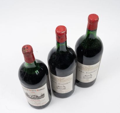 CLOS TOUMILON
2 magnums, 1982.
Graves.
High...