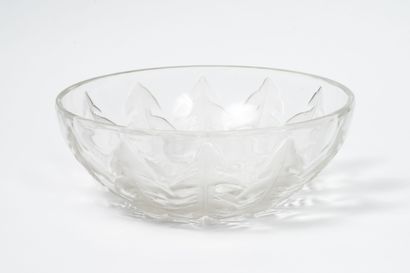 René LALIQUE (1860-1945)
Coupe Pissenlit...