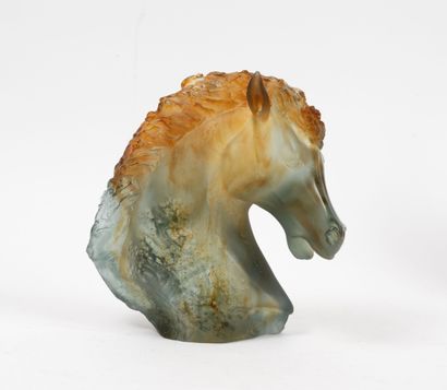 DAUM FRANCE
Head of Andalusian horse.
In...