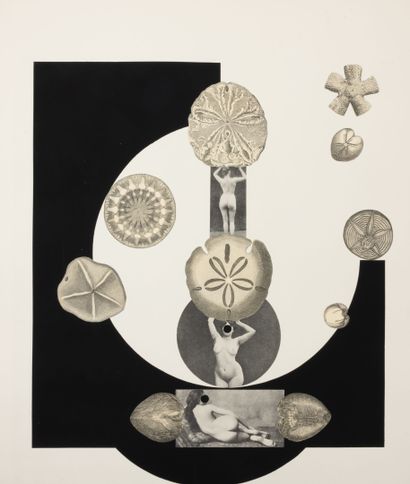 VISEUX, Claude
Portfolio entitled Trois Règnes,...