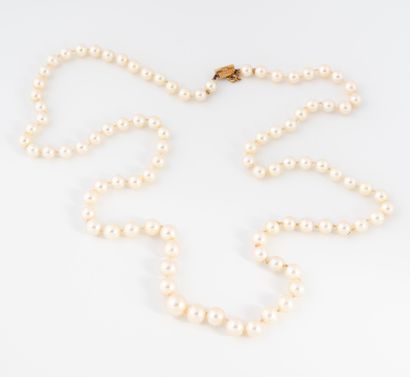 Long collier de perles de culture blanches...