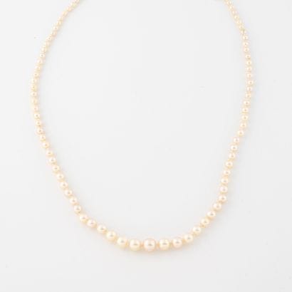 Necklace of falling white cultured pearls,...
