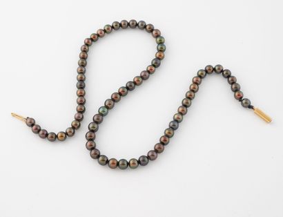 Necklace of shaded or tinted gray-black cultured...