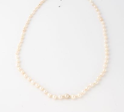 Necklace of white cultured pearls, some possibly...