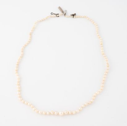 Necklace of white cultured pearls, some possibly...