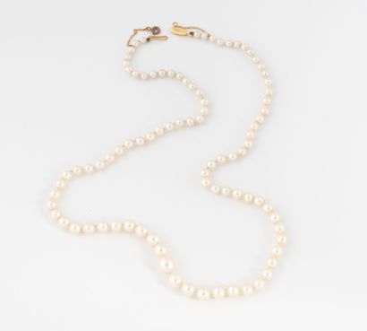Collier de perles de culture blanches en...