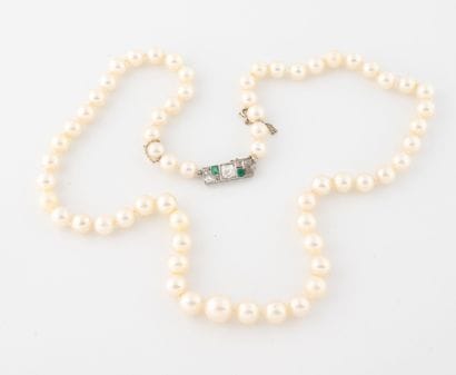 Collier de perles de culture blanches en...