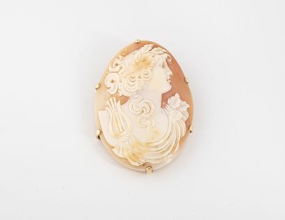 Yellow gold (750) brooch set with an oval...