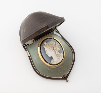 Oval brooch set in yellow gold (750) and...