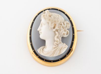 Oval brooch set in yellow gold (750) and...