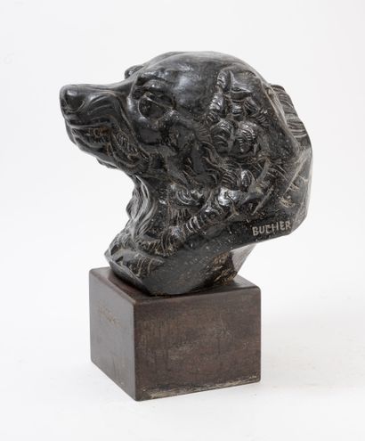 Edwin BUCHER (1879-1968)
Tête de chien grognant.
En...