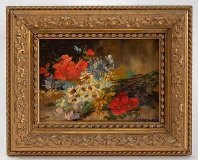 Pierre François Edmond COPPENOLLE
- Field...