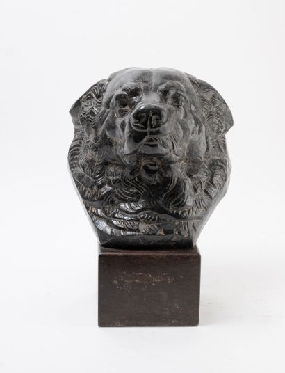 Edwin BUCHER (1879-1968)
Tête de chien grognant.
En...