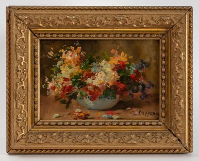 Pierre François Edmond COPPENOLLE
- Field...