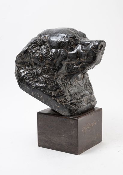 Edwin BUCHER (1879-1968)
Tête de chien grognant.
En...