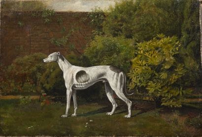 Ecole anglaise, fin XIXème début XXème siècle
White...