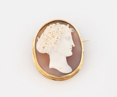 Shell cameo brooch with an antique-style...