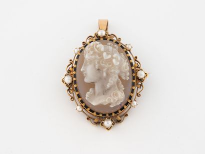 Yellow gold (750) oval pendant brooch centered...