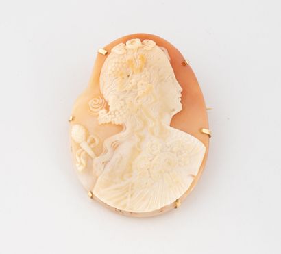 Yellow gold (750) brooch set with a large...