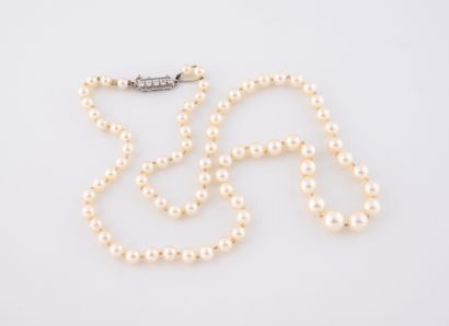 Collier de perles de culture blanches, en...