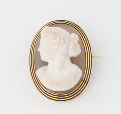 Oval brooch set in yellow gold (750), enameled...