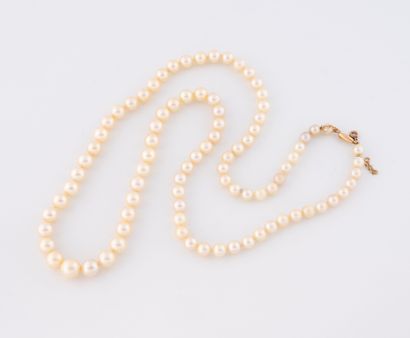 Necklace of white cultured pearls.
Cylindrical...