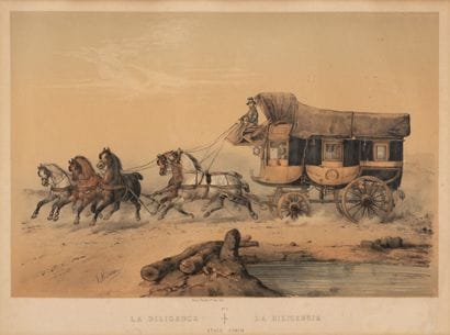 Deux estampes colorées sur papier :
- Perruche...