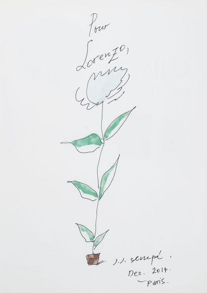 Jean-Jacques SEMPE (1932-2022)
Flower in...