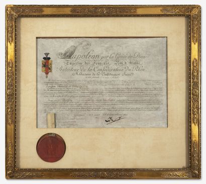 Copy of the patent of nobility of Pierre...