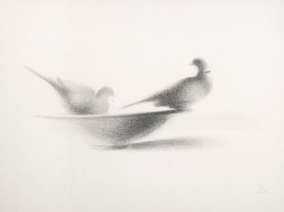 Jean-Lin DESCAMPS (1934-2020)
Birds in a...