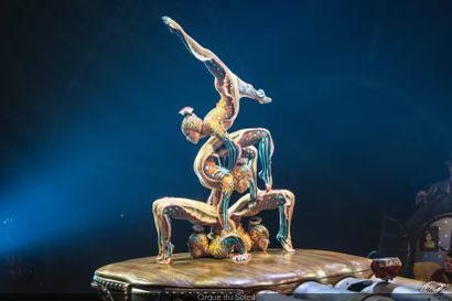 4 places pour le Cirque de Noël sur l’eau...
