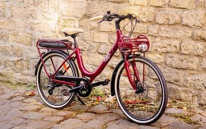 Vélo électrique Intemporel Confort de Solex,...
