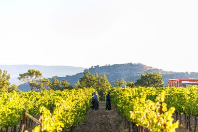 Une nuit pour 2 personnes au domaine La Coste...