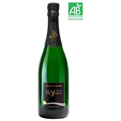 Lot de 3 bouteilles de 75 cl de Champagne...