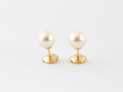 TECLA
Paire de clous d'oreilles en or jaune...