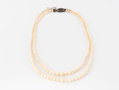 Collier à deux rangs de perles de culture...