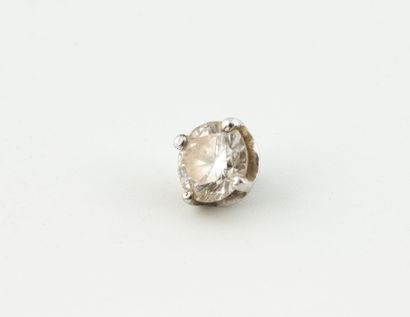 Débris de clou d'oreille en or gris (750)...