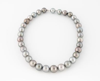 Collier de perles de culture grises en chute.
Fermoir...
