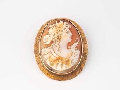 Yellow gold (585) pendant brooch centered...