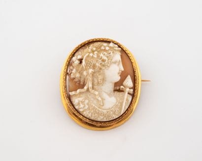 Yellow gold (750) oval brooch centered with...