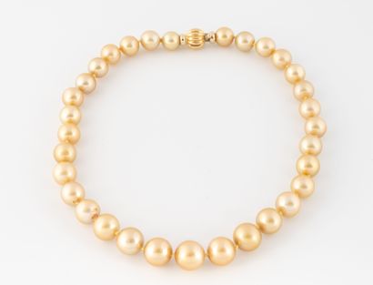 Collier de perles de culture champagne doré...