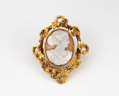 Female profile shell cameo brooch set in...