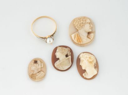 Lot including:
- Four cameos on shells decorated...