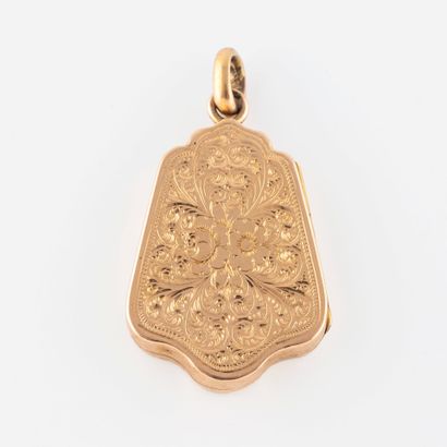 Yellow and pink gold (750) medallion with...