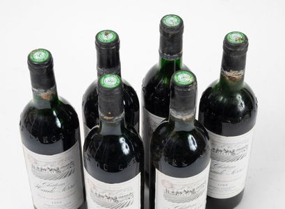 CHÂTEAU DE HAUTE SERRE
6 bouteilles, 1988.
Coteaux...