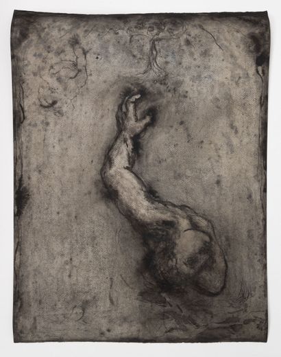 Lionel GUIBOUT (1959)
Falling Tetrabras,...