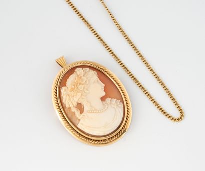 Pendant/pin necklace in yellow gold (750)...