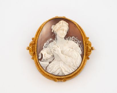 Important cameo brooch in yellow gold (750)...