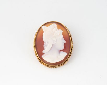 Oval brooch set in yellow gold (750), highlighted...